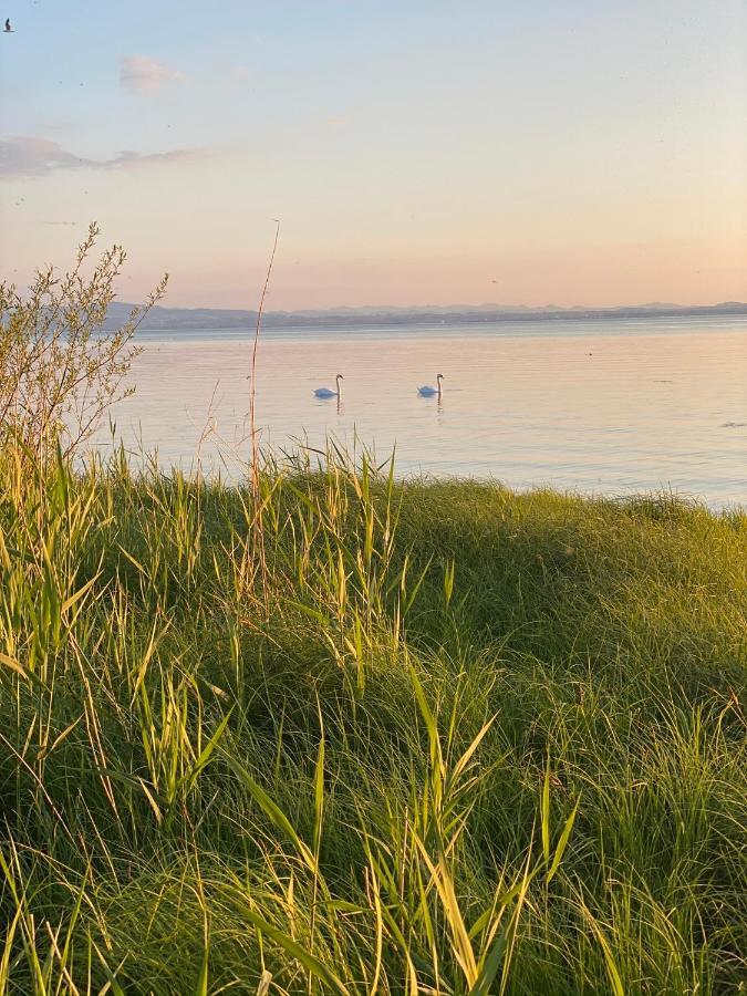 Ferien-Apartment Eisvogel Im Naturschutzgebiet Mit Privatstrand FDH Zewnętrze zdjęcie