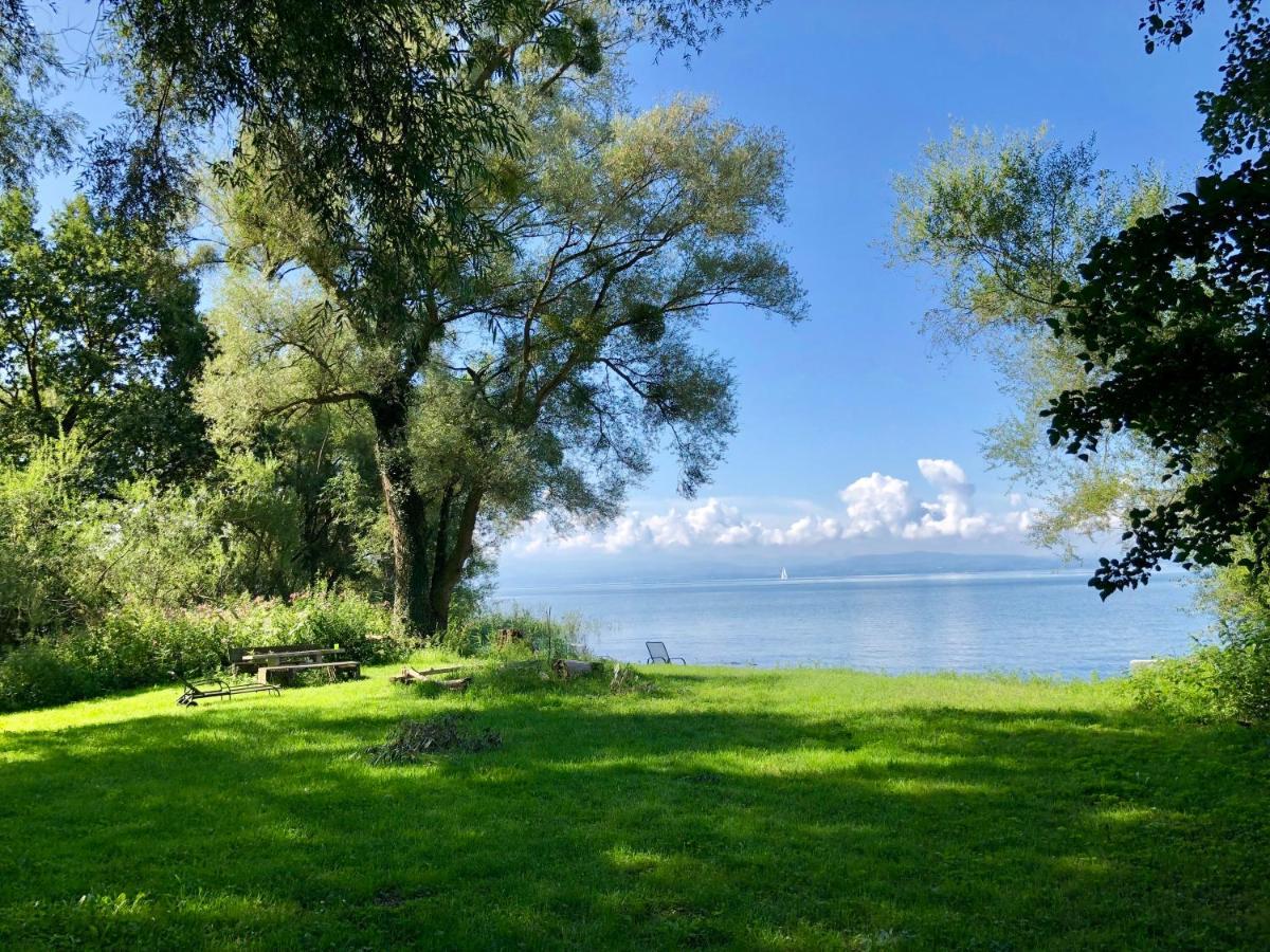 Ferien-Apartment Eisvogel Im Naturschutzgebiet Mit Privatstrand FDH Zewnętrze zdjęcie