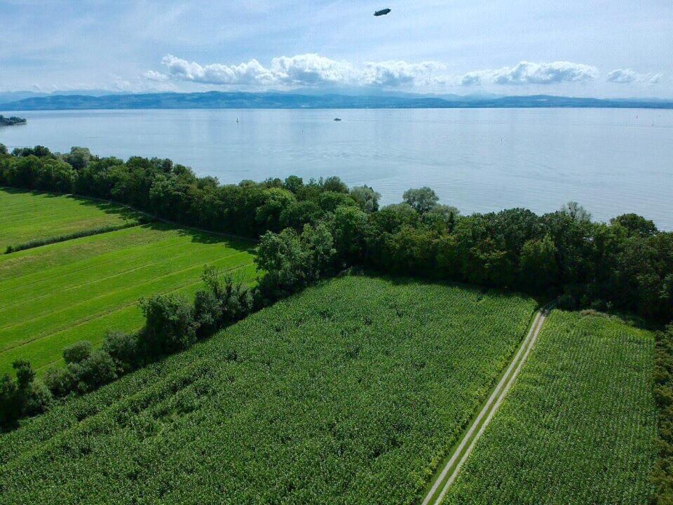 Ferien-Apartment Eisvogel Im Naturschutzgebiet Mit Privatstrand FDH Zewnętrze zdjęcie